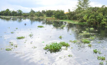 Principal rio da região, Tietê recebe R$ 47,7 mi e aguarda nova limpeza 