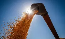 Brasil poderá ter novo recorde na produção de grãos na safra 2024/2025