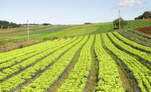 Encontro sobre água, agricultura e clima acontece na próxima terça-feira em Mogi