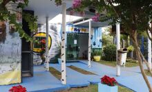 PlayPet soma 196 novas carteirinhas em 2025 e mantém espaço ativo para cães