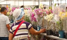 Alto Tietê recebe Parque Permanente de Flores e Plantas para fortalecer cadeia produtiva e turismo