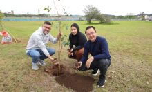 No Mês do Meio Ambiente, OAB Suzano planta 50 árvores no Parque Max Feffer
