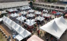 39ª Festa da Cerejeira deve reunir mais de 30 mil visitantes em Suzano