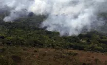 Copernicus: emissão global de gases por incêndios é a menor em 24 anos