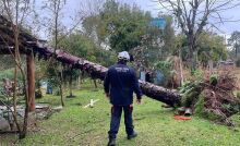 Rio Grande do Sul: chuvas deixam 720 desabrigados em Eldorado do Sul
