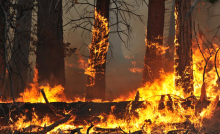 Descuidos que viram incêndio: confira os erros mais comuns nas propriedades rurais