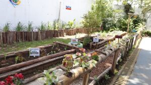 Educação inaugura horta pedagógica para 60 alunos do Jardim Monte Cristo

