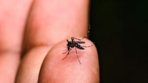 Mogi confirma primeira morte por dengue, a terceira no Alto Tietê