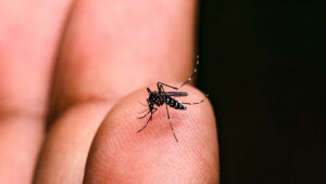 Estado suspende testagem sorológica para diagnóstico de dengue na região