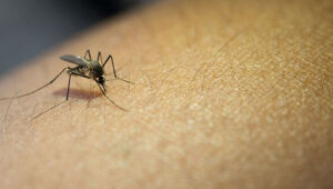 Painel da dengue aponta dez mortes pela doença no Alto Tietê