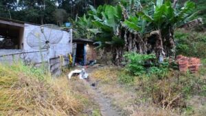 Setor de homicídio de Mogi esclarece assassinato em Salesópolis

