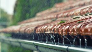 Água parada: faça a manutenção de seu telhado
