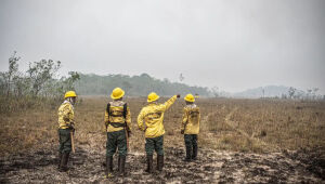 Dino estabelece orçamento de emergência para combate a incêndios
