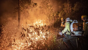 Monitoramento mostra que 99% dos incêndios são por ação humana
