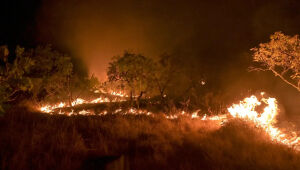 Prefeitura de Santa Isabel declara situação de emergência por causa dos incêndios