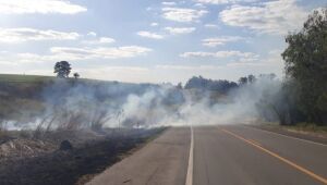 Prevenção de incêndios na beira de rodovias recebe R$ 65 milhões