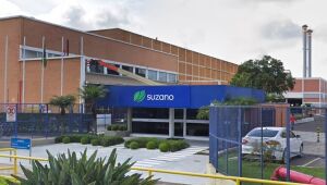 Inscrições para o Programa de Trainee 2025 da Suzano podem ser feitas até sexta-feira