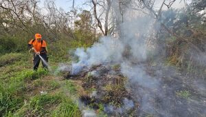 Alto Tietê entra em 'guerra' contra queimadas, monitora áreas e vai multar incendiários