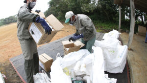 Departamento de Agricultura promove ação para descarte de embalagens de defensivos agrícolas