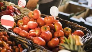 Sebrae realiza ação para celebrar o Dia Mundial da Alimentação na região