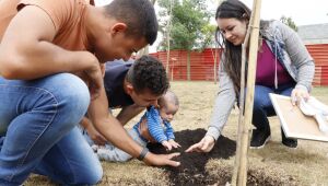 Max Feffer tem nova edição do programa 'Nasce uma Criança, Planta-se uma Árvore'