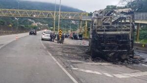 Após morte de torcedor do Cruzeiro, federação proíbe Mancha Alviverde em estádios