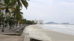 São Paulo começa o verão com 18 praias impróprias para banho
