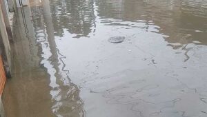 Chuva provoca alagamentos em ruas do Jardim Maitê