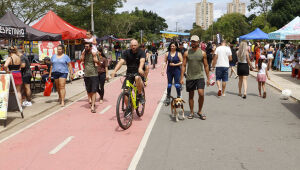 Max Feffer registra 72 mil visitas em janeiro com impulso da atração 'Férias no Parque'