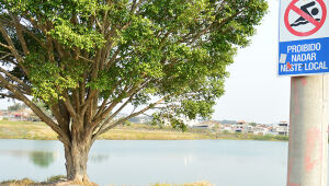 Considerada dano ambiental, Lagoa Azul aguarda Cetesb para ser aterrada em Suzano