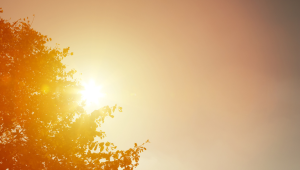 Marcado por temperaturas elevadas, verão foi o sexto mais quente no Brasil desde 1961