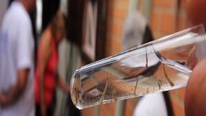 Prefeitura de Mogi das Cruzes inicia operação e drones para combater o Aedes aegypti
