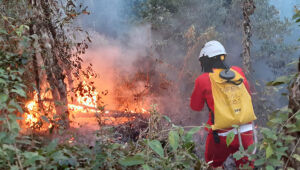 SP Sem Fogo: operação fortalece combate a incêndios na região