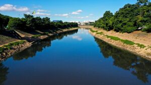 Consulta pública da PPP de desassoreamento dos rios Tietê e Pinheiros é prorrogada pelo Estado