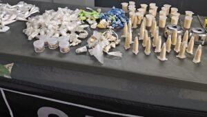 GCM de Mogi localiza quase 700 porções em drogas