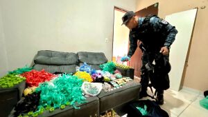 GCM de Itaquá apreende 22,7 mil porções de drogas na Operação Guardiã Azul