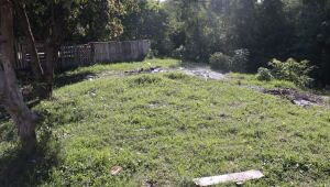 Meio Ambiente reforça atuação contra pontos viciados no Alterópolis e no Monte Cristo