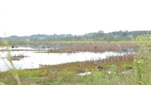 Chove menos do esperado em outubro, e represas seguem em baixa no Alto Tietê