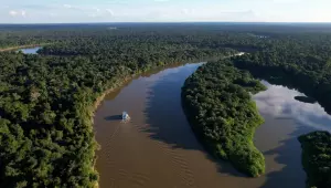 Redução do desmatamento na Amazônia foi histórica, avalia ICMBio
