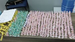 Operação da GCM de Mogi detém um e apreende mais de 1,2 mil porções de drogas