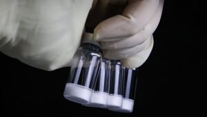 Vacina em pó? Conheça a tecnologia do imunizante contra a dengue do Butantan

