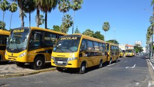 Nova legislação garante repasses para alimentação e transporte escolar
