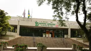 MS aprova parcerias para produção de medicamentos destinados ao SUS