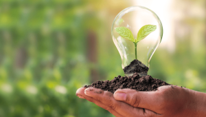 Alto Tietê tem pontuação média de 52,67 no índice de sustentabilidade