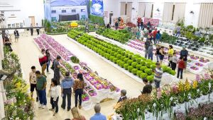 Sebrae-SP leva empreendedores ao 33&ordm; Furusato Matsuri em Mogi