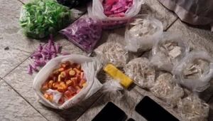 GCM de Itaquá detona casa bomba e prende dois em flagrante
