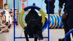 Projeto Guard promove apresentações do Canil da GCM para 200 alunos do Jardim Dora