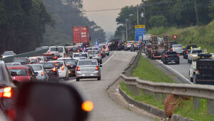 Consciência Negra deve movimentar mais de 18 milhões de veículos nas rodovias estaduais