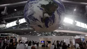 COP30: países amazônicos anunciam monitoramento conjunto da floresta