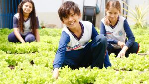 Educação sustentável transforma escola de Suzano em referência ambiental e empreendedora